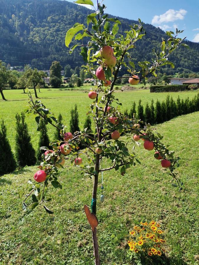 Apartment - Ferienwohnung 2 Treffen Am Ossiachersee Exteriér fotografie
